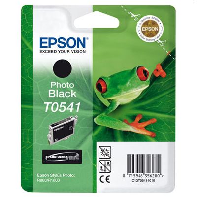 Tusz Oryginalny Epson T0541 (T0541) (Czarny Foto)