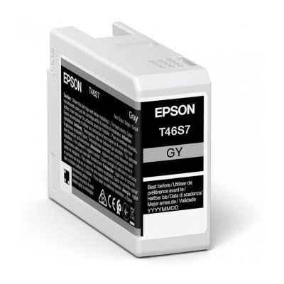 Tusz Oryginalny Epson T46S7 (C13T46S700) (Szary)